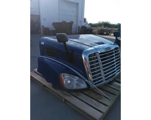 FREIGHTLINER CASCADIA 113 HOOD