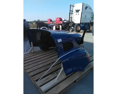 FREIGHTLINER CASCADIA 113 HOOD