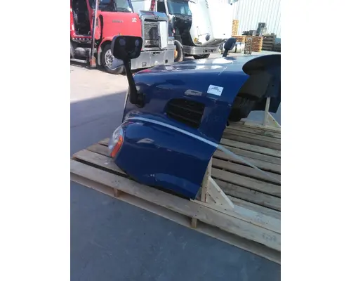 FREIGHTLINER CASCADIA 113 HOOD