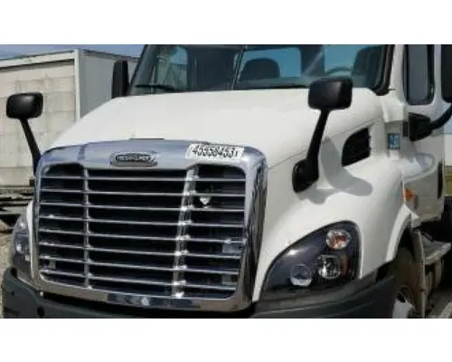 FREIGHTLINER CASCADIA 113 HOOD