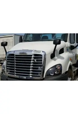 FREIGHTLINER CASCADIA 113 HOOD