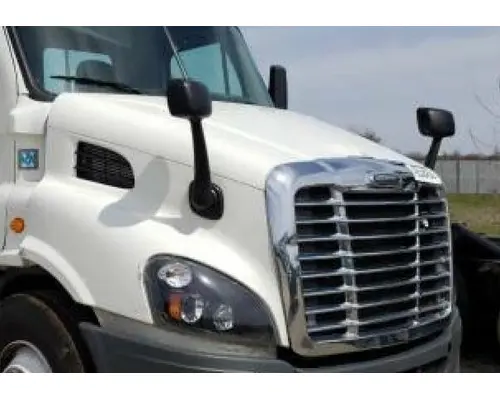 FREIGHTLINER CASCADIA 113 HOOD