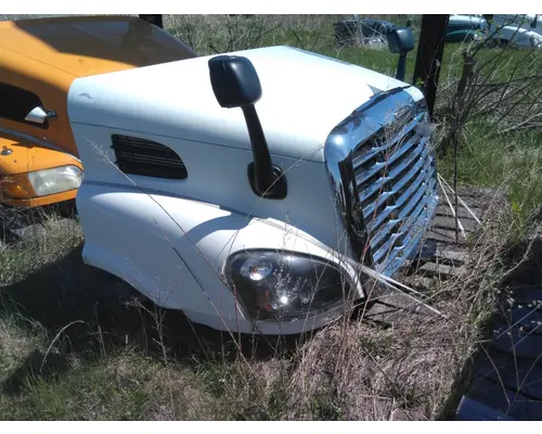 FREIGHTLINER CASCADIA 113 HOOD