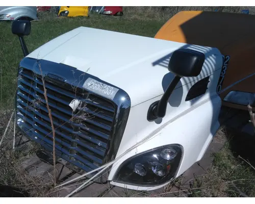 FREIGHTLINER CASCADIA 113 HOOD
