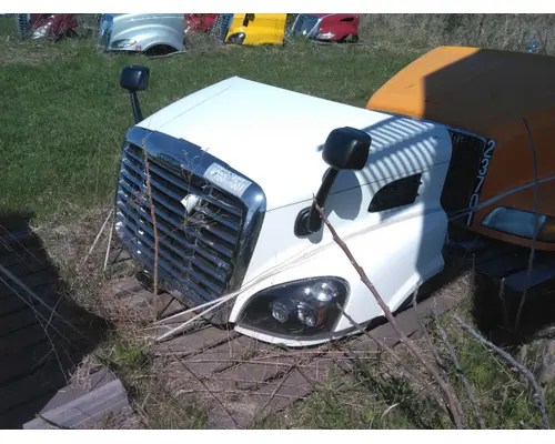 FREIGHTLINER CASCADIA 113 HOOD