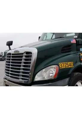 FREIGHTLINER CASCADIA 113 HOOD
