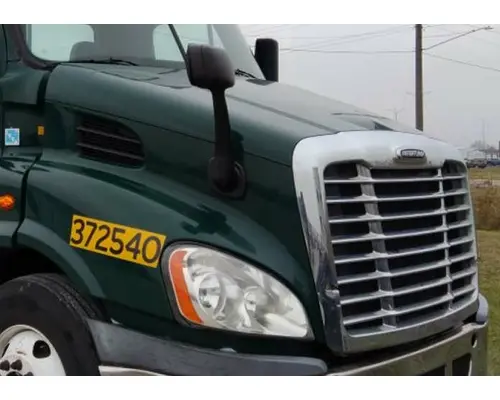 FREIGHTLINER CASCADIA 113 HOOD