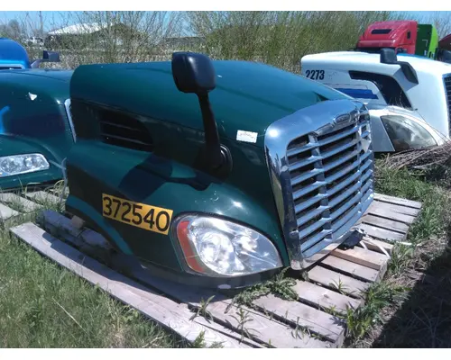 FREIGHTLINER CASCADIA 113 HOOD