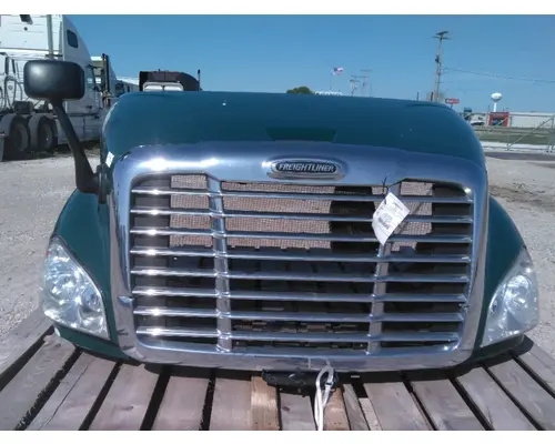 FREIGHTLINER CASCADIA 113 HOOD