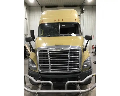 FREIGHTLINER CASCADIA 113 HOOD