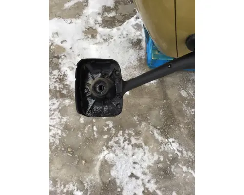 FREIGHTLINER CASCADIA 113 HOOD