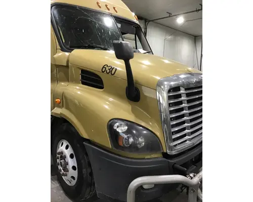 FREIGHTLINER CASCADIA 113 HOOD