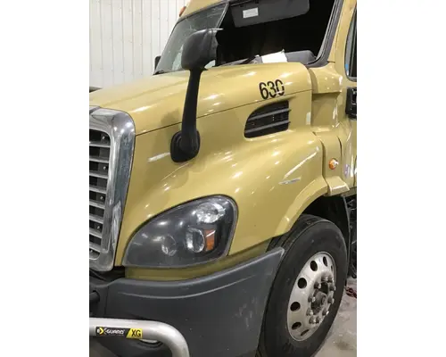FREIGHTLINER CASCADIA 113 HOOD