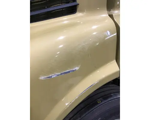 FREIGHTLINER CASCADIA 113 HOOD