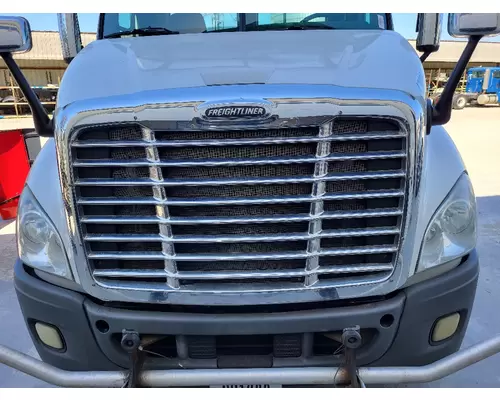 FREIGHTLINER CASCADIA 113 HOOD