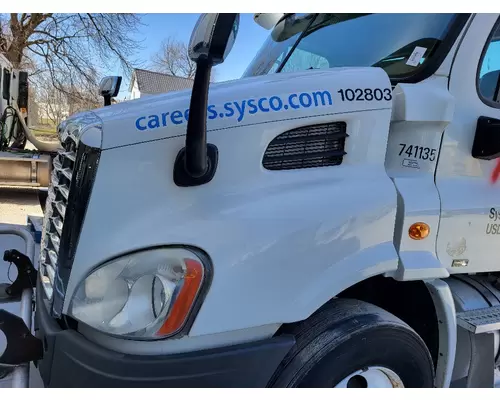 FREIGHTLINER CASCADIA 113 HOOD