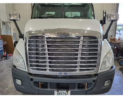 FREIGHTLINER CASCADIA 113 HOOD