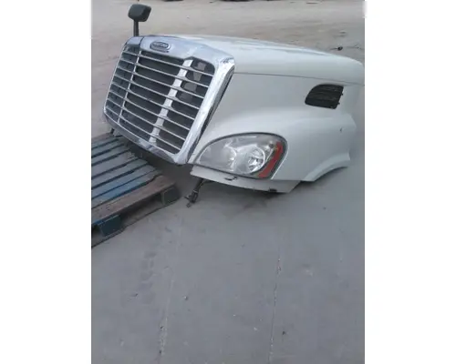 FREIGHTLINER CASCADIA 113 HOOD