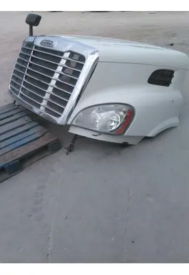 FREIGHTLINER CASCADIA 113 HOOD