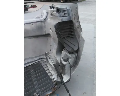 FREIGHTLINER CASCADIA 113 HOOD