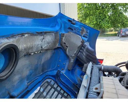 FREIGHTLINER CASCADIA 113 HOOD