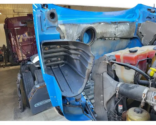 FREIGHTLINER CASCADIA 113 HOOD