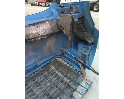 FREIGHTLINER CASCADIA 113 HOOD