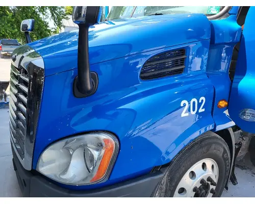 FREIGHTLINER CASCADIA 113 HOOD