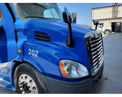 FREIGHTLINER CASCADIA 113 HOOD