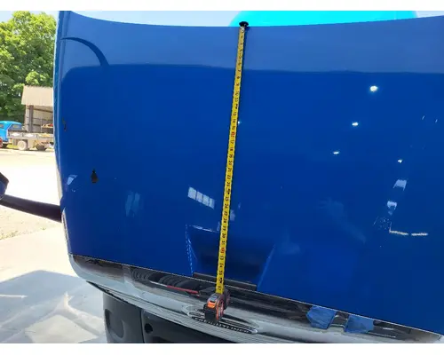 FREIGHTLINER CASCADIA 113 HOOD