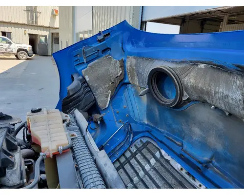 FREIGHTLINER CASCADIA 113 HOOD