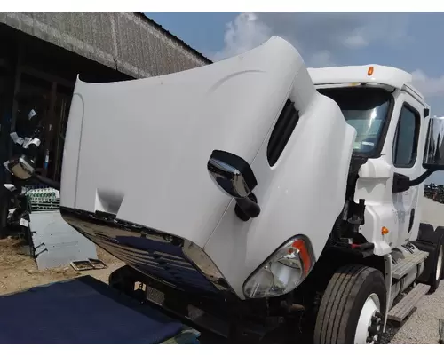 FREIGHTLINER CASCADIA 113 HOOD