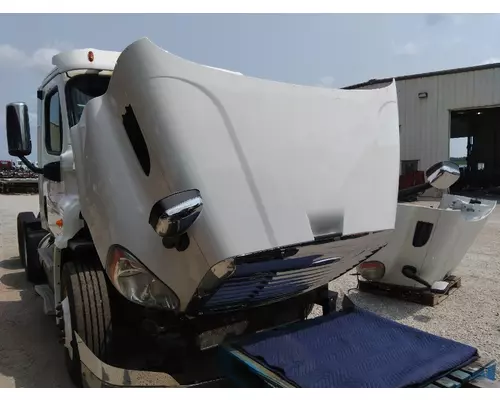 FREIGHTLINER CASCADIA 113 HOOD