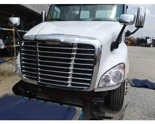 FREIGHTLINER CASCADIA 113 HOOD