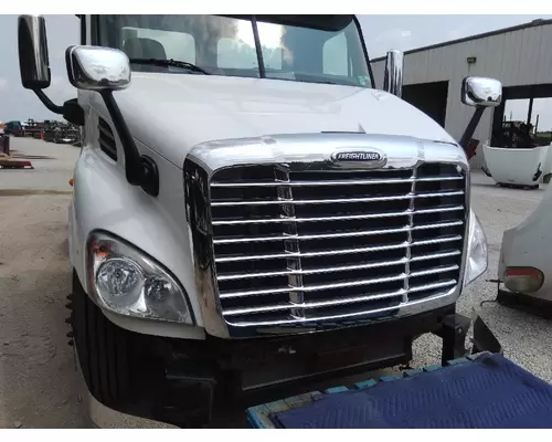 FREIGHTLINER CASCADIA 113 HOOD