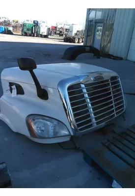 FREIGHTLINER CASCADIA 113 HOOD