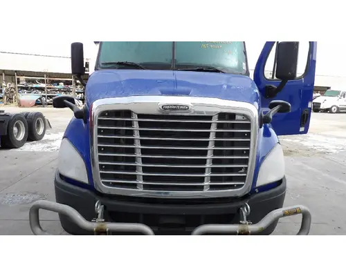 FREIGHTLINER CASCADIA 113 HOOD
