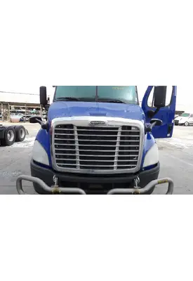 FREIGHTLINER CASCADIA 113 HOOD
