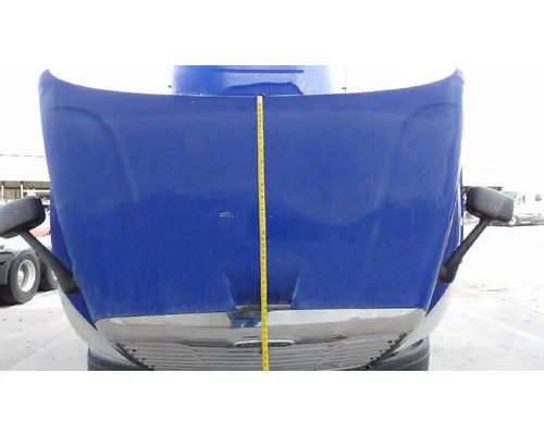FREIGHTLINER CASCADIA 113 HOOD