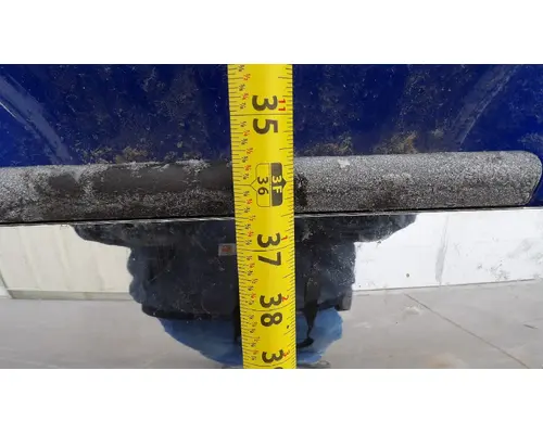 FREIGHTLINER CASCADIA 113 HOOD