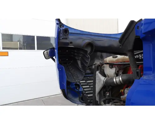 FREIGHTLINER CASCADIA 113 HOOD