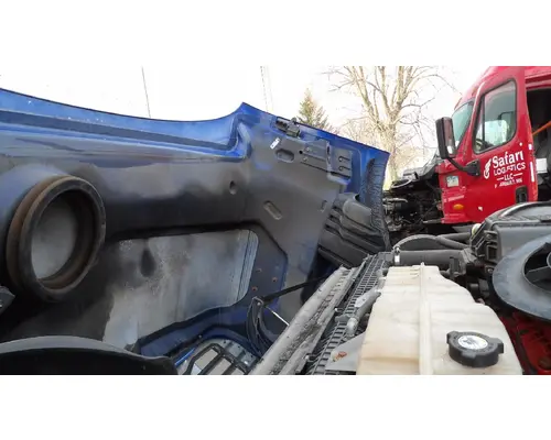 FREIGHTLINER CASCADIA 113 HOOD