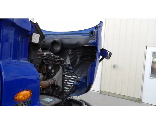 FREIGHTLINER CASCADIA 113 HOOD