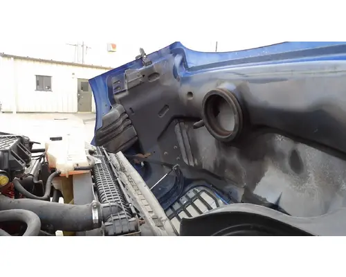 FREIGHTLINER CASCADIA 113 HOOD