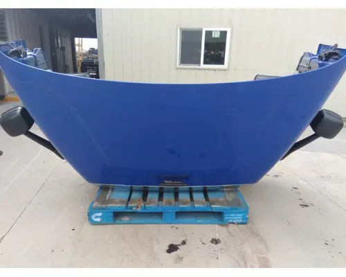 FREIGHTLINER CASCADIA 113 HOOD