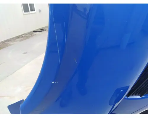 FREIGHTLINER CASCADIA 113 HOOD