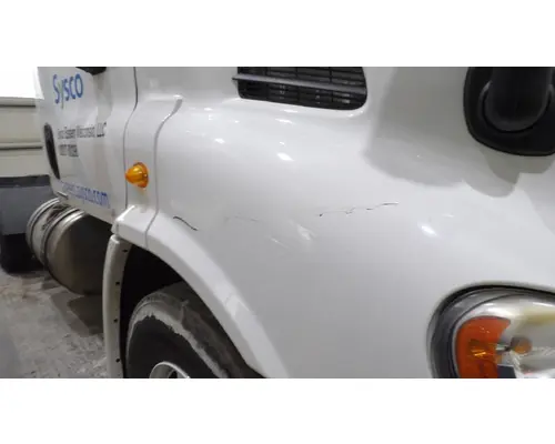 FREIGHTLINER CASCADIA 113 HOOD