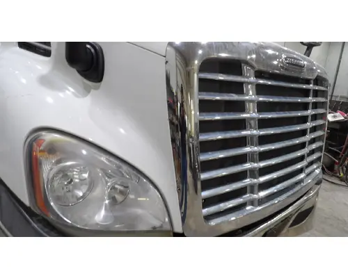 FREIGHTLINER CASCADIA 113 HOOD