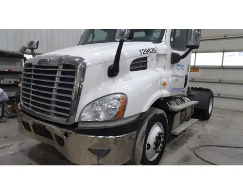 FREIGHTLINER CASCADIA 113 HOOD