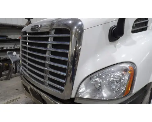 FREIGHTLINER CASCADIA 113 HOOD